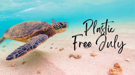 Plastic-Free July: Favorite Plastic-Free Beach Essentials