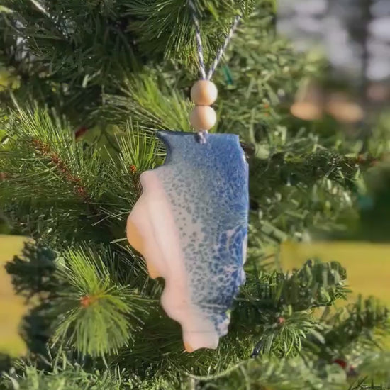 Illinois Lake Resin Ornament, Handmade Christmas Ornaments, Wood and Resin, Lake Life, Unique State Gift