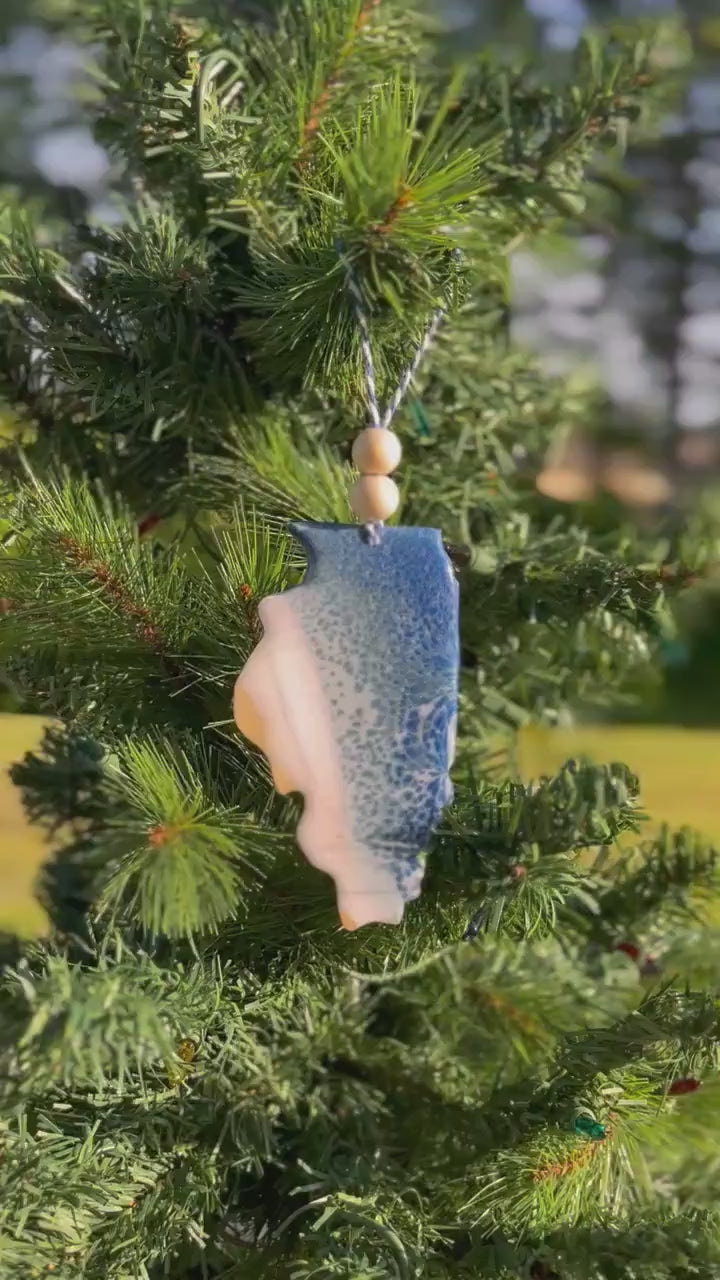 Illinois Lake Resin Ornament, Handmade Christmas Ornaments, Wood and Resin, Lake Life, Unique State Gift